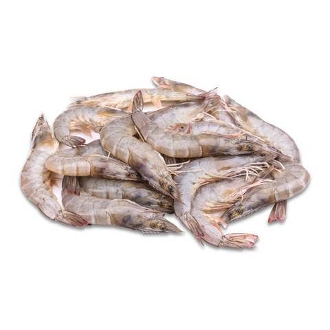 صادرات میگو پرورشی ایران|Iranian shrimp export