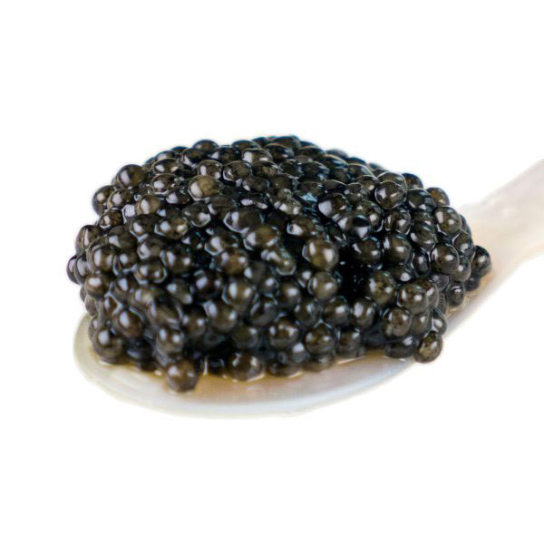 Caviar-Beluga Caviar Beluga