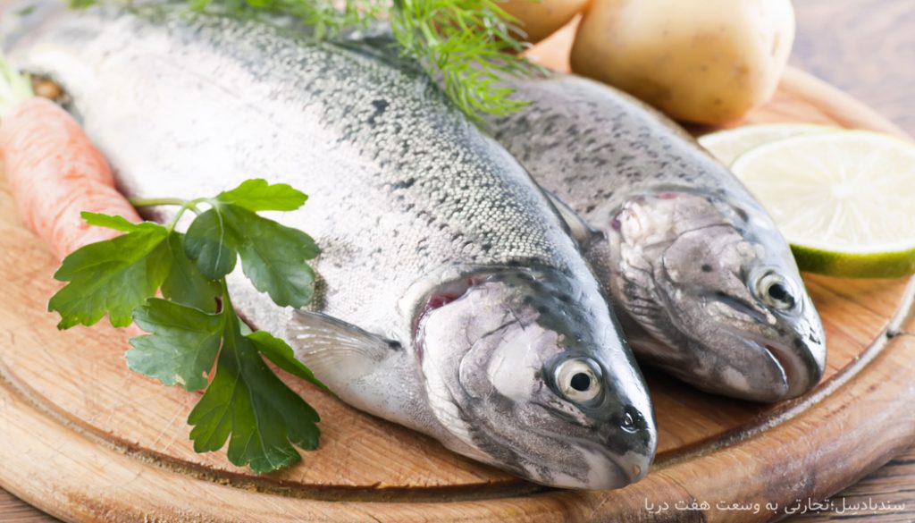 صادرات ماهی قزل آلا - وارنا تجارت اوراسیا | fish export