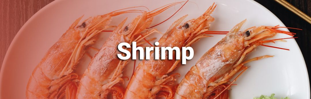 Varna trading Eurasia -Iranian shrimp export