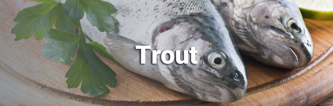 Varna trading Eurasia - trout