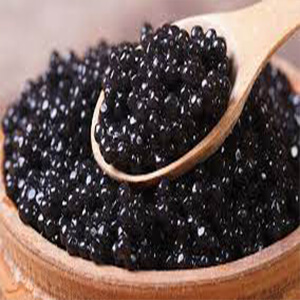 صادرات خاویار |Caviar export- وارنا تجارت اوراسیا