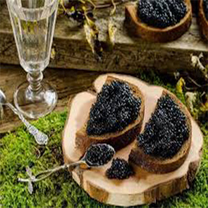 صادرات خاویار- وارنا تجارت اوراسیا -Caviar export