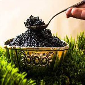 صادرات خاویار- وارنا تجارت اوراسیا -Caviar export