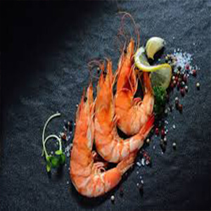 صادرات میگو |Shrimp export