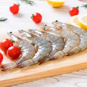 صادرات میگو - وارنا تجارت اوراسیا | Shrimp export