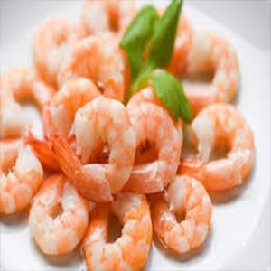 صادرات میگو|Shrimp export -وارنا تجارت اوراسیا