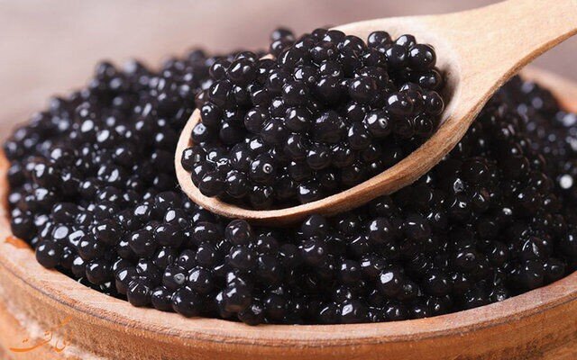 صادرات خاویار بلوگا ایرانی|beluga caviar iran