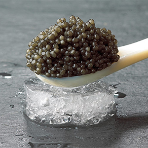 صادرات خاویار بلوگا ایرانی|Iranian beluga caviar