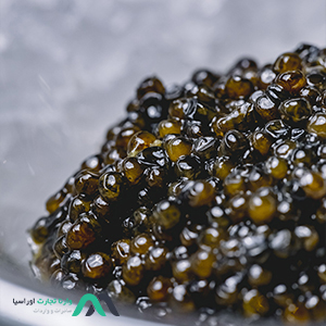 beluga caviar iran|خاویار بلوگا ایرانی