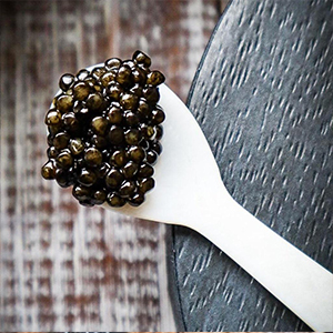 خاویار بلوگا ایران|beluga caviar iran