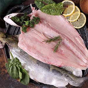 Export of Iranian trout| قیمت روز ماهی قزل آلا