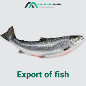 Export of fish