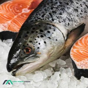 Trout export to Russia-صادرات ماهی قزل آلا به روسیه