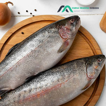 صادرات ماهی قزل آلا به عمان-Trout export to Oman