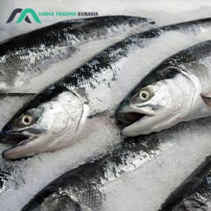 Export of Iranian trout