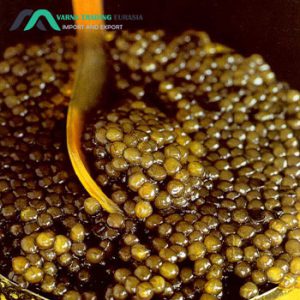 صادرات خاویار به ترکیه از ایران Caviar export to Türkiye