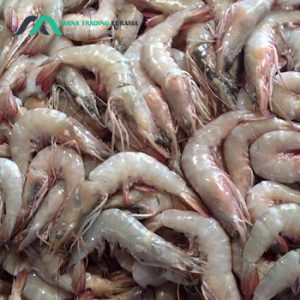 Exporting shrimp to China