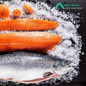 صادرات ماهی سالمون به روسیه با وارنا|Salmon export to Russia
