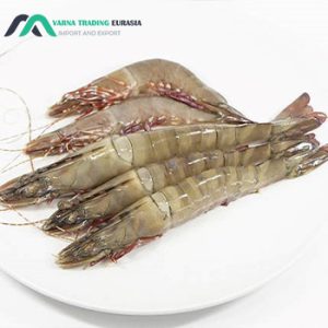 Exporting shrimp to Oman
