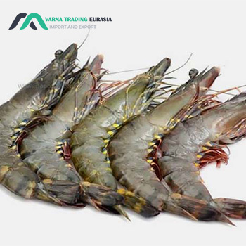 صادرات میگو به عمان|Exporting shrimp to Oman